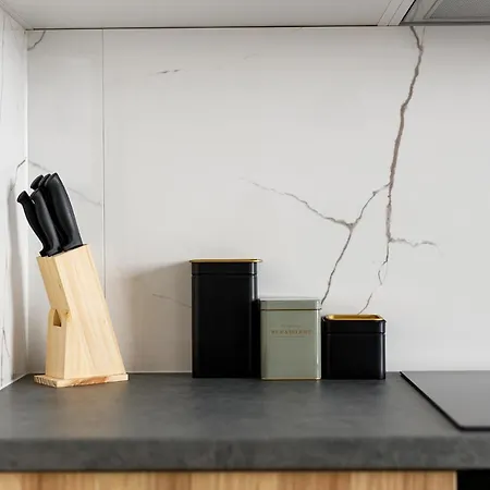 Homewell Goplana Apartament Poznań