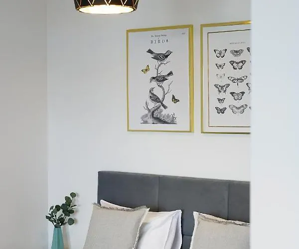 Apartment Homewell Goplana - Free Parking Poznan